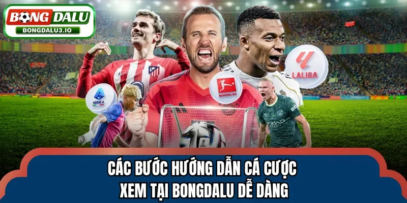 Các bước hướng dẫn cá cược xem tại Bongdalu dễ dàng