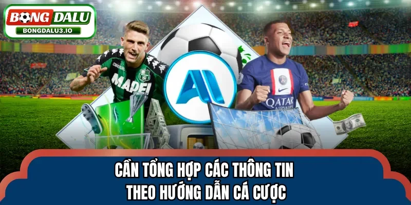 Cần tổng hợp các thông tin theo hướng dẫn cá cược