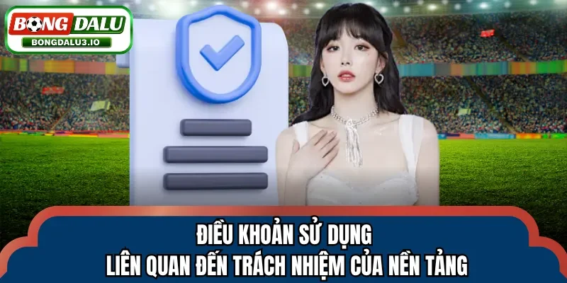 Điều khoản sử dụng liên quan đến trách nhiệm của nền tảng
