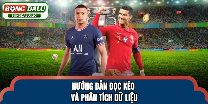 Hướng dẫn đọc kèo và phân tích dữ liệu