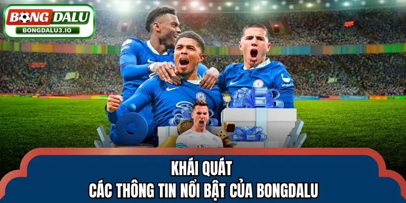 Khái quát các thông tin nổi bật của Bongdalu