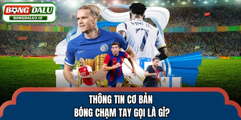 Thông tin cơ bản bóng chạm tay gọi là gì?