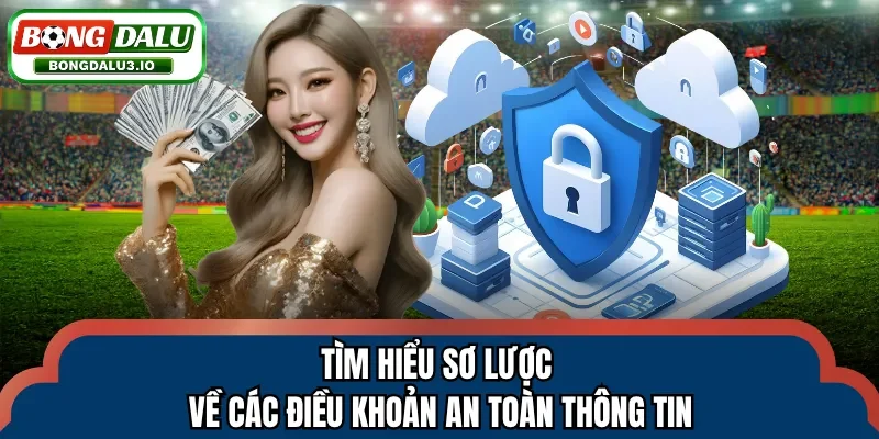 Tìm hiểu sơ lược về các điều khoản an toàn thông tin
